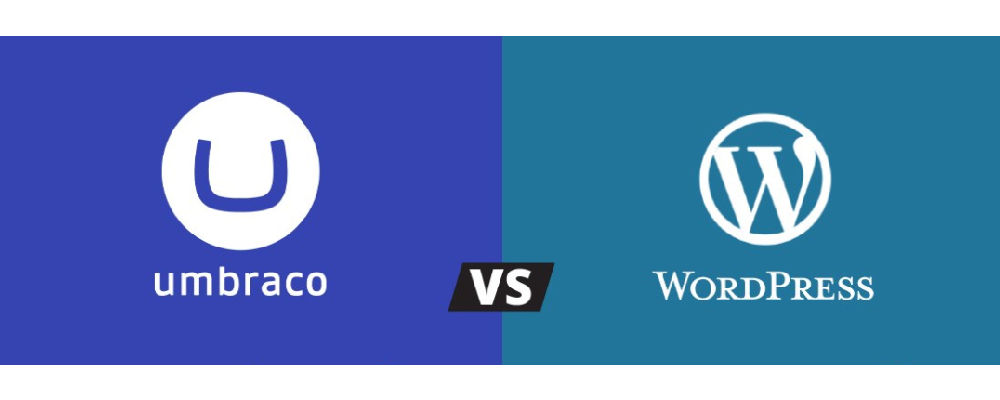 Unveiling the Power of Umbraco: A Secure and User-Friendly CMS Choice