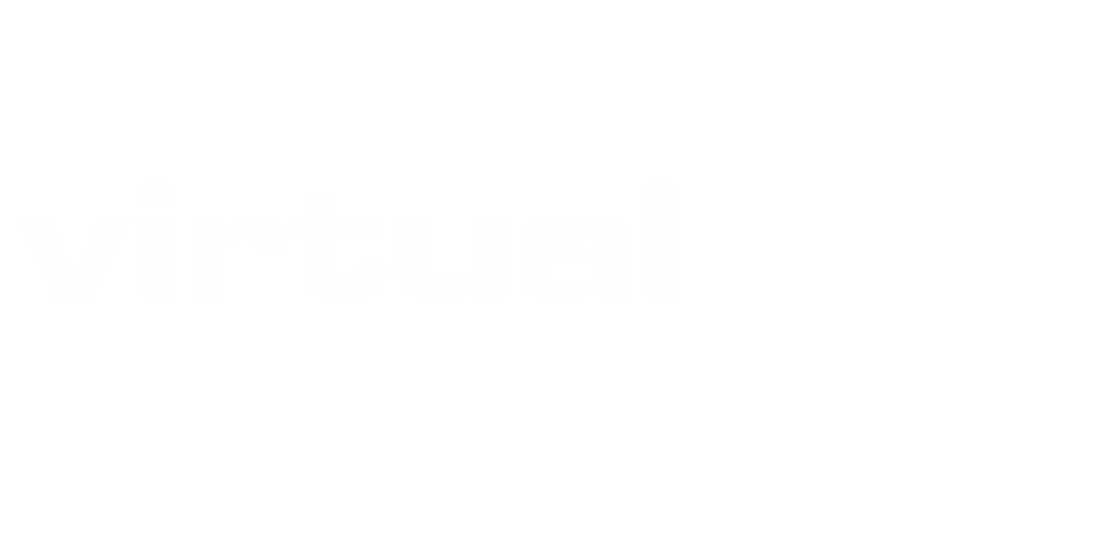 Virtualnet Software Logo